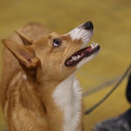 photograph by PeterW